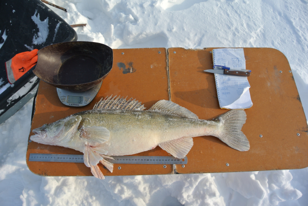 Завершены зимние наблюдения на водных объектах