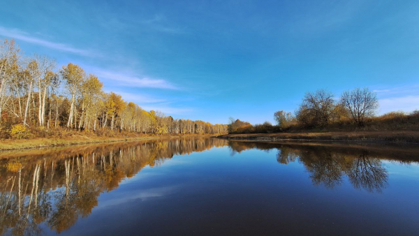 Наблюдения в Кировской области в 2025 году