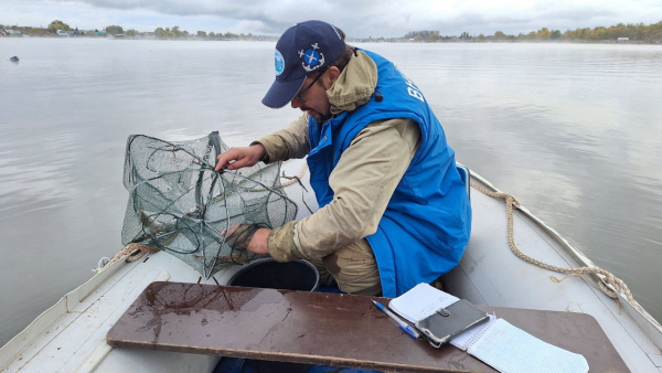 Наблюдения в Башкортостане в 2025 году