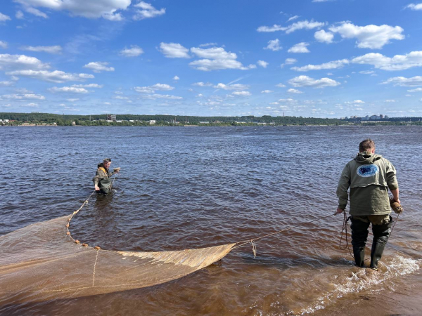 В Пермском крае завершены наблюдения